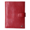 PETEK,      , 595-041-10